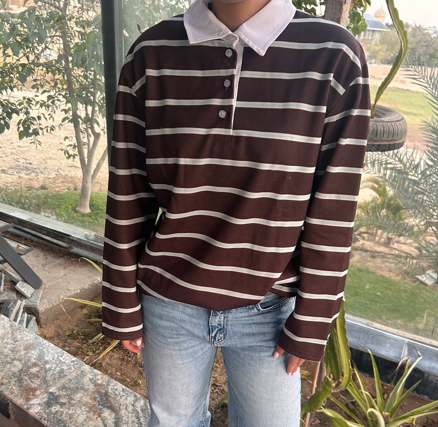 The Brown Striped polo